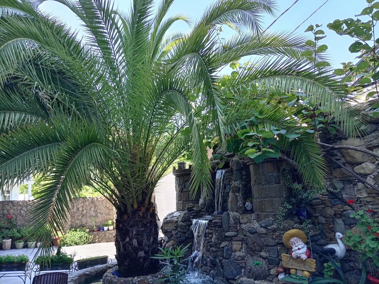 Гостиница Белый Орёл Сочи-172