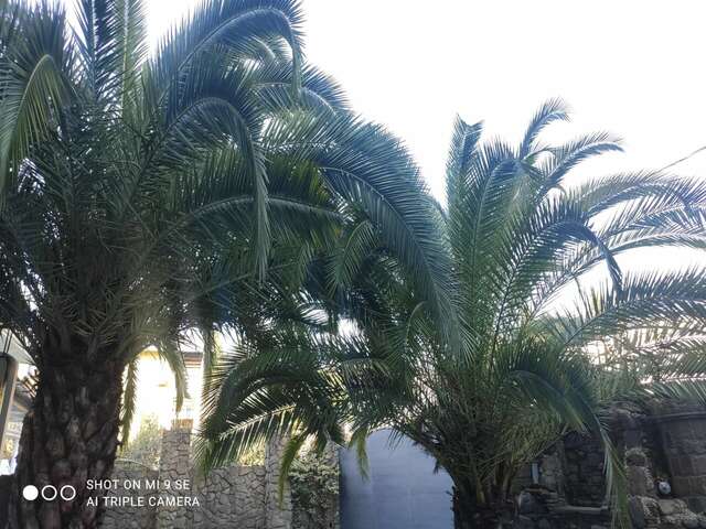 Гостиница Белый Орёл Сочи-124