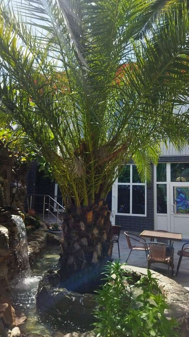 Гостиница Белый Орёл Сочи-56